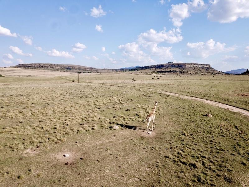 20 Bedroom Property for Sale in Paul Roux Free State